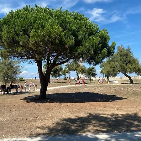 Maison Au Centre De Martin De Re Avec Garage Hébergement de vacances